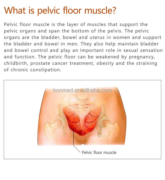 Pelvic Floor Muscle Pain Improve Sexual Life Kegel Exercise, view 2