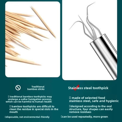 Stainless Steel Dental Floss & Toothpick Set – Reusable Picks with Travel Case