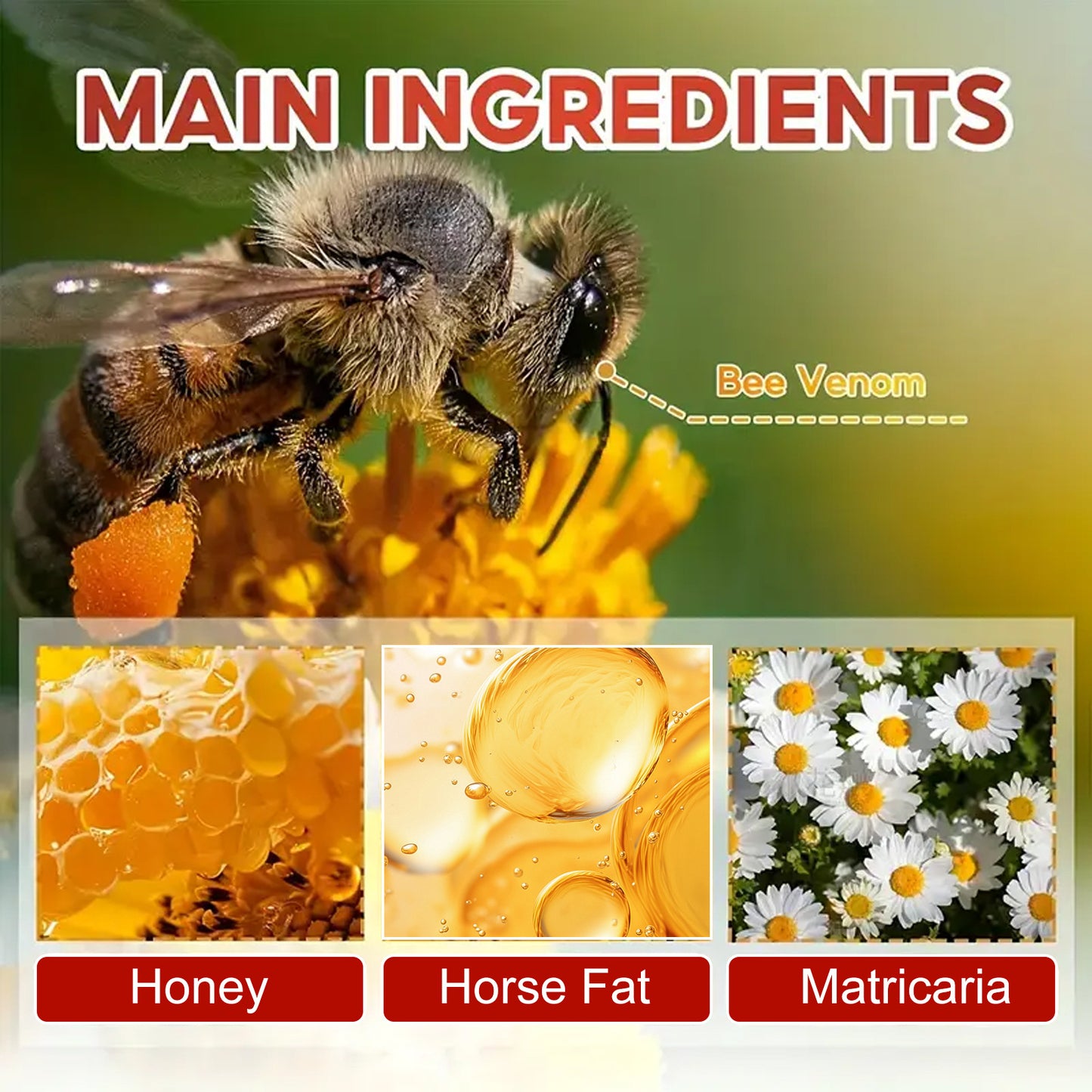 YURHERSU Cross-border Bee Venom Horse Oil Cream Soothing Joint Discomfort Knees Lumbar Shoulder Neck Massage Care Cream in stock